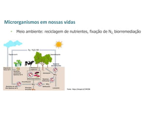 Microrganismos em nossas vidas
 Meio ambiente: reciclagem de nutrientes, fixação de N2, biorremediação
Fonte: https://binged.it/334lCB8
 