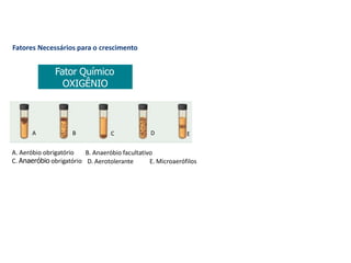 Fator Químico
OXIGÊNIO
E
C D
B. Anaeróbio facultativo
A B
A. Aeróbio obrigatório
C. Anaeróbio obrigatório D. Aerotolerante E. Microaerófilos
Fatores Necessários para o crescimento
 