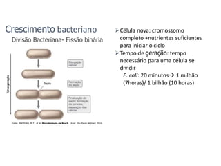 Crescimento bacteriano
Divisão Bacteriana- Fissão binária
Célula nova: cromossomo
completo +nutrientes suficientes
para iniciar o ciclo
Tempo de geração: tempo
necessário para uma célula se
dividir
E. coli: 20 minutos 1 milhão
(7horas)/ 1 bilhão (10 horas)
Fonte: MADIGAN, M.T. et al. Microbiologia de Brock. 14.ed. São Paulo: Artmed, 2016.
 