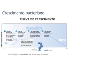 CURVA DE CRESCIMENTO
Crescimento bacteriano
Fonte: TORTORA, G.J. et al. Microbiologia. 12.ed. São Paulo: Artmed, 2017 (pág. 166).
 