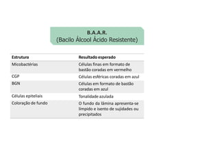 B.A.A.R.
(Bacilo Álcool Ácido Resistente)
Resultado esperado
Estrutura
Micobactérias
CGP
BGN
Células finas em formato de
bastão coradas em vermelho
Células esféricas coradas em azul
Células em formato de bastão
coradas em azul
Tonalidade azulada
O fundo da lâmina apresenta-se
límpido e isento de sujidades ou
precipitados
Células epiteliais
Coloração de fundo
 
