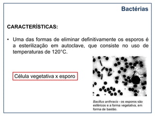Bactérias
CARACTERÍSTICAS:
• Uma das formas de eliminar definitivamente os esporos é
a esterilização em autoclave, que consiste no uso de
temperaturas de 120°C.
Célula vegetativa x esporo
 