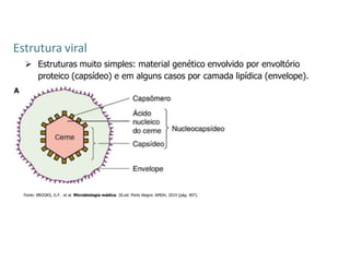Estrutura viral
 Estruturas muito simples: material genético envolvido por envoltório
proteico (capsídeo) e em alguns casos por camada lipídica (envelope).
Fonte: BROOKS, G.F. et al. Microbiologia médica. 26.ed. Porto Alegre: AMGH, 2014 (pág. 407).
 