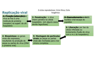 Replicação viral
1- Fixação (adsorção): o
vírus se fixa a uma
molécula de proteína
(receptor) na superf. da cél.
hospedeira
2- Penetração: o vírus
inteiro penetra na célula
hospedeira (em alguns casos
devido fagocitose)
3- Desnudamento: o ácido
nucléico viral escapa do
capsídeo
4- Biossíntese: os genes
virais são expressos,
resultando na produção de
peças ou partes do vírus (DNA
e proteína viral)
5- Montagem de partículas
virais: as peças ou partes
virais são montadas para criar
virions completos
6- Liberação: por lise da
célula infectada ou
brotamento (fusão do vírus
com a m.c do hospedeiro)
2 ciclos reprodutivos: Ciclo lítico; Ciclo
lisogênico
 
