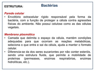 Bactérias
ESTRUTURA:
Parede celular
• Envoltório extracelular rígido responsável pela forma da
bactéria, com a função de proteger a célula contra agressões
físicas do ambiente. Não possui celulose como as das células
vegetais.
Membrana plasmática
• Camada que delimita o espaço da célula, mantém condições
adequadas para que ocorram as reações metabólicas,
seleciona o que entra e sai da célula, ajuda a manter o formato
celular.
• Diferencia-se da dos seres eucariontes por não conter esteróis,
que permite a mobilidade de
sendo uma estrutura fluida,
proteínas (permeases, enzimas respiratórias, enzimas
hidrolíticas, etc.).
 