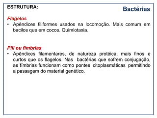 Bactérias
ESTRUTURA:
Flagelos
• Apêndices filiformes usados na locomoção. Mais comum em
bacilos que em cocos. Quimiotaxia.
Pili ou fímbrias
• Apêndices filamentares, de natureza protéica, mais finos e
curtos que os flagelos. Nas bactérias que sofrem conjugação,
as fímbrias funcionam como pontes citoplasmáticas permitindo
a passagem do material genético.
 