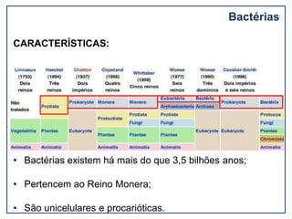 Bactérias
CARACTERÍSTICAS:
• Bactérias existem há mais do que 3,5 bilhões anos;
• Pertencem ao Reino Monera;
• São unicelulares e procarióticas.
 