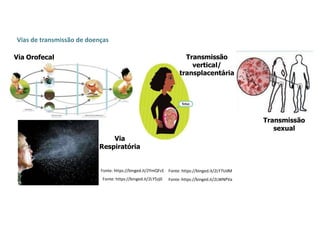 Vias de transmissão de doenças
Via Orofecal
Fonte: https://binged.it/2YmQFcE
Fonte: https://binged.it/2LY5zj0
Fonte: https://binged.it/2LY7UdM
Fonte: https://binged.it/2LWNPVa
Via
Respiratória
Transmissão
vertical/
transplacentária
Transmissão
sexual
 