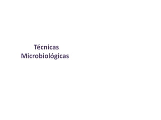 Técnicas
Microbiológicas
 
