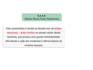 Esta característica é devida ao elevado teor de lipídios
estruturais – ácido micólico na parede celular destas
bactérias, que provoca uma grande hidrofobicidade,
dificultando a ação dos mordentes e diferenciadores de
corantes aquosos.
B.A.A.R.
(Bacilo Álcool Ácido Resistente)
 