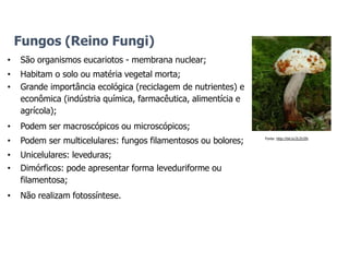 Fungos (Reino Fungi)
• São organismos eucariotos - membrana nuclear;
• Habitam o solo ou matéria vegetal morta;
• Grande importância ecológica (reciclagem de nutrientes) e
econômica (indústria química, farmacêutica, alimentícia e
agrícola);
• Podem ser macroscópicos ou microscópicos;
• Podem ser multicelulares: fungos filamentosos ou bolores;
• Unicelulares: leveduras;
• Dimórficos: pode apresentar forma leveduriforme ou
filamentosa;
• Não realizam fotossíntese.
Fonte: http://bit.ly/2LZUJIh
 