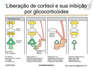 Liberação de cortisol e sua inibição por glicocorticóides 
