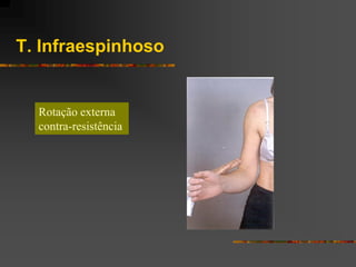 T. Infraespinhoso


  Rotação externa
  contra-resistência
 