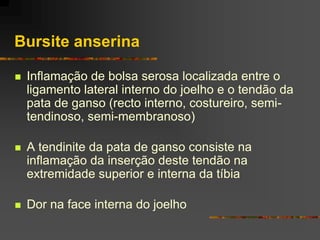 Bursite anserina

   Inflamação de bolsa serosa localizada entre o
    ligamento lateral interno do joelho e o tendão da
    pata de ganso (recto interno, costureiro, semi-
    tendinoso, semi-membranoso)

   A tendinite da pata de ganso consiste na
    inflamação da inserção deste tendão na
    extremidade superior e interna da tíbia

   Dor na face interna do joelho
 