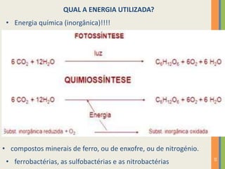 QUAL A ENERGIA UTILIZADA?
• Energia química (inorgânica)!!!!

• compostos minerais de ferro, ou de enxofre, ou de nitrogénio.
10

• ferrobactérias, as sulfobactérias e as nitrobactérias

 