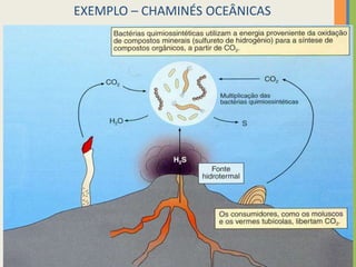 EXEMPLO – CHAMINÉS OCEÂNICAS

12

 