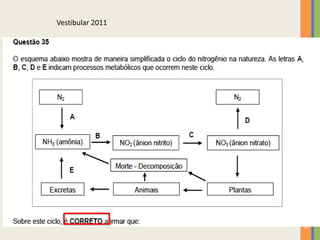 Vestibular 2011

22

 