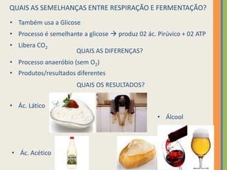 QUAIS AS SEMELHANÇAS ENTRE RESPIRAÇÃO E FERMENTAÇÃO?
• Também usa a Glicose
• Processo é semelhante a glicose  produz 02 ác. Pirúvico + 02 ATP
• Libera CO2

QUAIS AS DIFERENÇAS?

• Processo anaeróbio (sem O2)
• Produtos/resultados diferentes
QUAIS OS RESULTADOS?
• Ác. Lático
• Álcool

• Ác. Acético

 