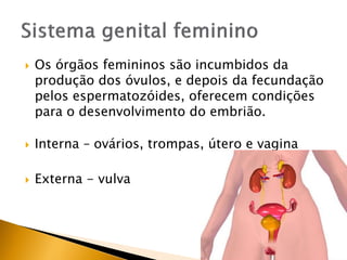  Os órgãos femininos são incumbidos da
produção dos óvulos, e depois da fecundação
pelos espermatozóides, oferecem condições
para o desenvolvimento do embrião.
 Interna – ovários, trompas, útero e vagina
 Externa - vulva
 