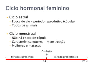  Ciclo estral
◦ Época de cio – período reprodutivo (cópula)
◦ Todos os animais
 Ciclo menstrual
◦ Não há época de cópula
◦ Característica externa – menstruação
◦ Mulheres e macacas
Ovulação
Período estrogênico Período progestênico
14 d 28 d
 