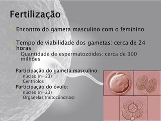  Encontro do gameta masculino com o feminino
 Tempo de viabilidade dos gametas: cerca de 24
horas
◦ Quantidade de espermatozóides: cerca de 300
milhões
• Participação do gameta masculino:
– núcleo (n=23)
– Centríolos
• Participação do óvulo:
– núcleo (n=23)
– Organelas (mitocôndrias)
 
