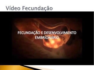 Introdução à embriologia