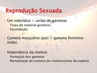  Um indivíduo = união de gametas
◦ Troca de material genético
◦ Fecundação
 Gameta masculino (pai) + gameta feminino
(mãe)
 Importância da meiose
◦ Formação dos gametas
◦ Manutenção do numero de cromossomos da espécie
 