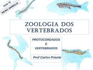 Zoologia dos
Vertebrados
PROTOCORDADOS
E
VERTEBRADOS
Prof Carlos Priante
Aula 12
REINO
ANIMALIA
 