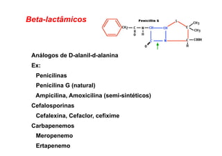Beta-lactâmicos
Análogos de D-alanil-d-alanina
Ex:
Penicilinas
Penicilina G (natural)
Ampicilina, Amoxicilina (semi-sintéticos)
Cefalosporinas
Cefalexina, Cefaclor, cefixime
Carbapenemos
Meropenemo
Ertapenemo
 