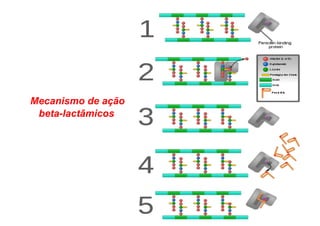 Mecanismo de ação
beta-lactâmicos
 