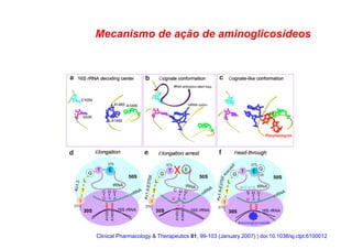 Mecanismo de ação de aminoglicosídeos
Clinical Pharmacology & Therapeutics 81, 99-103 (January 2007) | doi:10.1038/sj.clpt.6100012
 