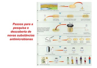 Passos para a
pesquisa e
descoberta de
novas substâncias
antimicrobianas
 