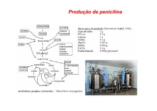 Produção de penicilina
 