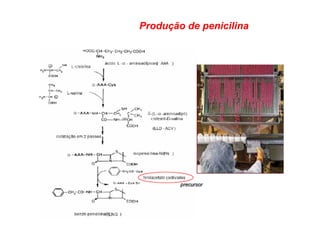 Produção de penicilina
 