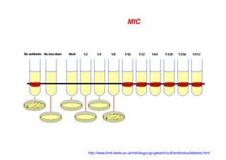 MIC
http://www.bmb.leeds.ac.uk/mbiology/ug/ugteach/icu8/antibiotics/labtests.html
 