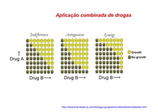 Aplicação combinada de drogas
http://www.bmb.leeds.ac.uk/mbiology/ug/ugteach/icu8/antibiotics/labtests.html
 