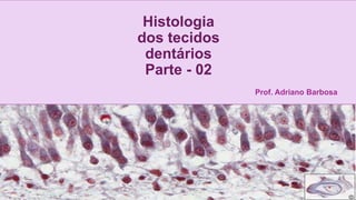 Histologia
dos tecidos
dentários
Parte - 02
Prof. Adriano Barbosa
 
