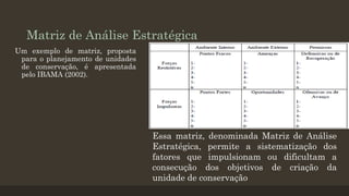 Matriz de Análise Estratégica
Um exemplo de matriz, proposta
para o planejamento de unidades
de conservação, é apresentada
pelo IBAMA (2002).

Essa matriz, denominada Matriz de Análise
Estratégica, permite a sistematização dos
fatores que impulsionam ou dificultam a
consecução dos objetivos de criação da
unidade de conservação

 