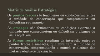 Matriz de Análise Estratégica
Os pontos fracos são fenômenos ou condições inerentes
à unidade de conservação que comprometem ou
dificultam seu manejo;
As ameaças são fenômenos ou condições externas à
unidade que comprometem ou dificultam o alcance de
seus objetivos;
As forças restritivas resultam da interação entre os
pontos fracos e ameaças, que debilitam a unidade de
conservação, comprometendo o manejo e alcance das
metas e objetivos de criação.

 