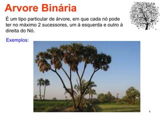 6
Arvore Binária
É um tipo particular de árvore, em que cada nó pode
ter no máximo 2 sucessores, um à esquerda e outro à
direita do Nó.
Exemplos:
 