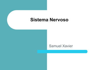 Samuel Xavier
Sistema Nervoso
 
