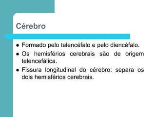 Cérebro
 Formado pelo telencéfalo e pelo diencéfalo.
 Os hemisférios cerebrais são de origem
telencefálica.
 Fissura longitudinal do cérebro: separa os
dois hemisférios cerebrais.
 
