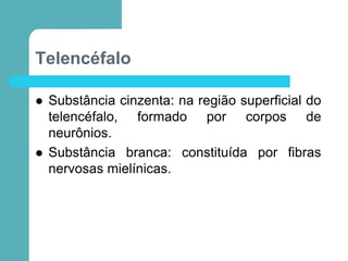 Telencéfalo
 Substância cinzenta: na região superficial do
telencéfalo, formado por corpos de
neurônios.
 Substância branca: constituída por fibras
nervosas mielínicas.
 