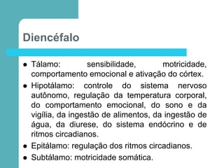 Diencéfalo
 Tálamo: sensibilidade, motricidade,
comportamento emocional e ativação do córtex.
 Hipotálamo: controle do sistema nervoso
autônomo, regulação da temperatura corporal,
do comportamento emocional, do sono e da
vigília, da ingestão de alimentos, da ingestão de
água, da diurese, do sistema endócrino e de
ritmos circadianos.
 Epitálamo: regulação dos ritmos circadianos.
 Subtálamo: motricidade somática.
 