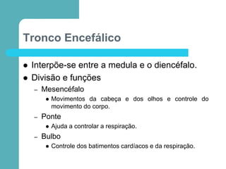 Tronco Encefálico
 Interpõe-se entre a medula e o diencéfalo.
 Divisão e funções
– Mesencéfalo
 Movimentos da cabeça e dos olhos e controle do
movimento do corpo.
– Ponte
 Ajuda a controlar a respiração.
– Bulbo
 Controle dos batimentos cardíacos e da respiração.
 