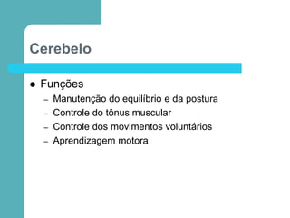 Cerebelo
 Funções
– Manutenção do equilíbrio e da postura
– Controle do tônus muscular
– Controle dos movimentos voluntários
– Aprendizagem motora
 