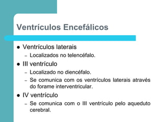 Ventrículos Encefálicos
 Ventrículos laterais
– Localizados no telencéfalo.
 III ventrículo
– Localizado no diencéfalo.
– Se comunica com os ventrículos laterais através
do forame interventricular.
 IV ventrículo
– Se comunica com o III ventrículo pelo aqueduto
cerebral.
 