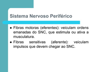 Sistema Nervoso Periférico
 Fibras motoras (eferentes): veiculam ordens
emanadas do SNC, que estimula ou ativa a
musculatura.
 Fibras sensitivas (aferente): veiculam
impulsos que devem chegar ao SNC.
 