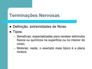 Terminações Nervosas
 Definição: extremidades de fibras.
 Tipos:
– Sensitivas: especializadas para receber estímulos
físicos ou químicos na superfície ou no interior do
corpo.
– Motoras: neste, o exemplo mais típico é a placa
motora.
 