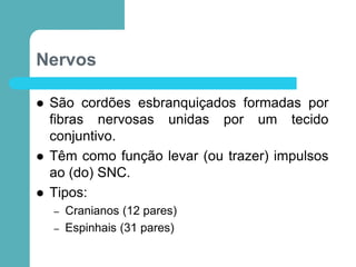 Nervos
 São cordões esbranquiçados formadas por
fibras nervosas unidas por um tecido
conjuntivo.
 Têm como função levar (ou trazer) impulsos
ao (do) SNC.
 Tipos:
– Cranianos (12 pares)
– Espinhais (31 pares)
 